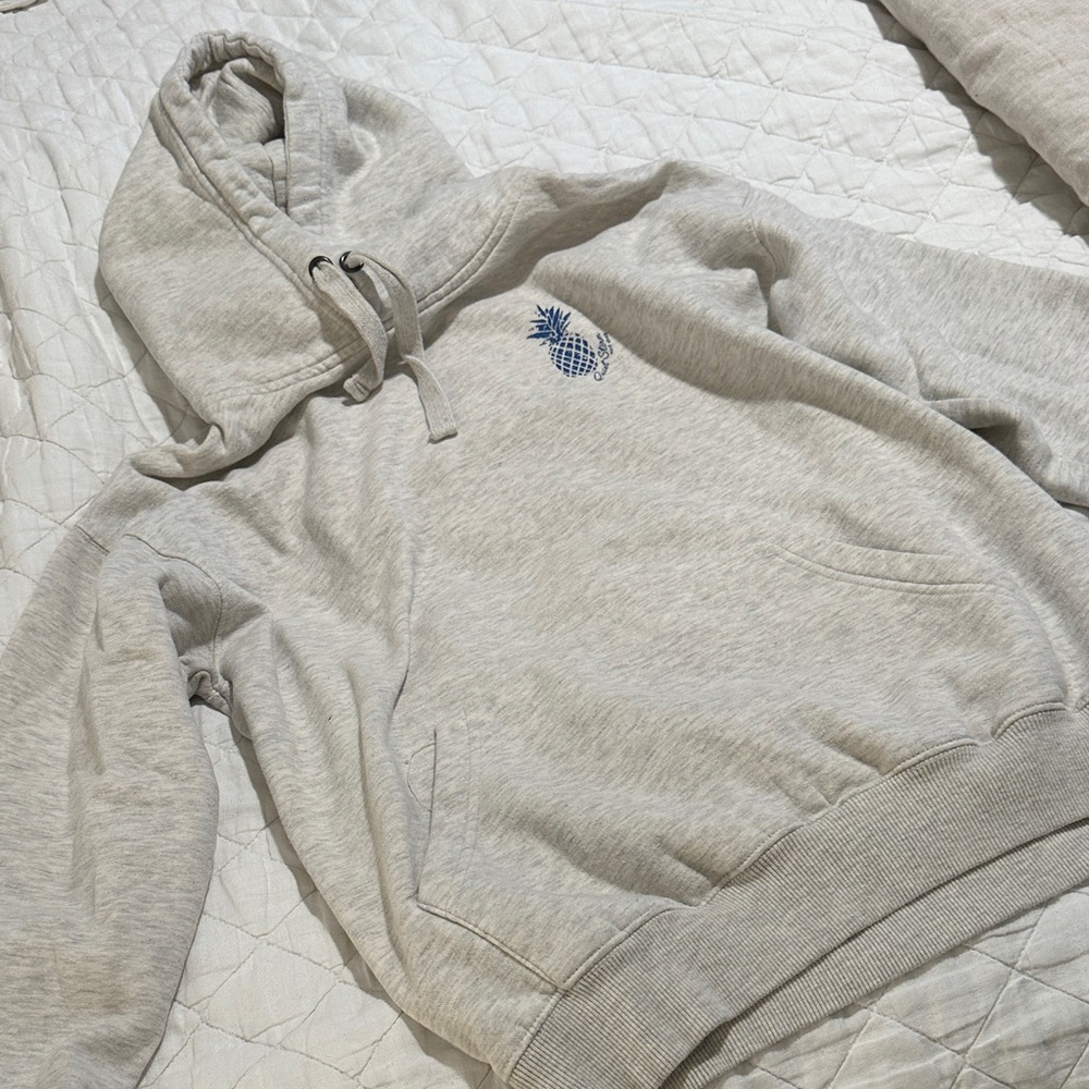 Quietstorm Gray Hoodie with Pineapple π - Picture 1 of 5
